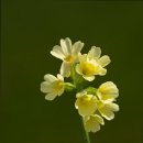 행복너싱홈(조치원노인전문병원) | 연로하신 부모님 위한 덕양구 요양원 추천 샤론너싱홈 편안한 노후를 위한 선택