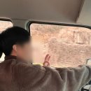 여수 풀빌라 펜션 까르마 독채 풀빌라 솔직 후기