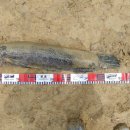 만식이네 이미지