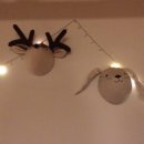 제주 이리스 이미지