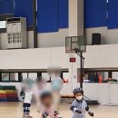 코끼리영재어린이집 | 5~7세 아이 하원 후 뭐하지!? 아이와 함께 행복한 육아, 즐거운 교육에 로그인 해 보아요!