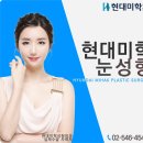 현대미학