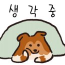 유어브로드