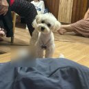 삼육대학교박물관 | 잠깐 인간을 쉬겠습니다.