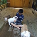 하늘채펜션 이미지