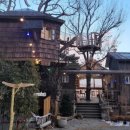 나무집 펜션 이미지