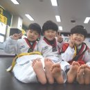 단국대 아름태권도 이미지