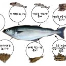 개금코다리 이미지