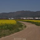 황산공원(황산B) 이미지
