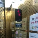 경보 프라자 이미지
