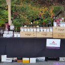 금영인터네셔날 이미지