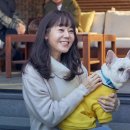 도그데이즈 이미지