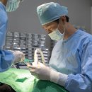 더스마트치과기공소 이미지