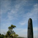 홍도야 우지마라 이미지