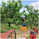 도림농장 이미지