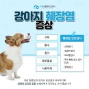 신동동물병원 네이버블로그