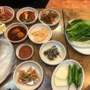 돼지들의이야기 이미지