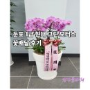 현대그린모터스 이미지