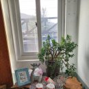 제이디펜션 이미지