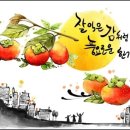 에스엠치과병원