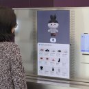 세븐에잇 이미지