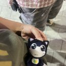 뽑아브러 이미지