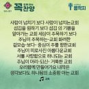 콩깍지 이미지