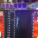 코코노래광장