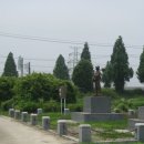 국도23호선가로수 이미지