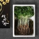 미호농장 이미지