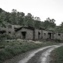 수산나농장 이미지