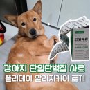 드라이데이 | 강아지 알러지케어 사료 추천, 스팀드라이 폴리데이 토끼레시피 후기