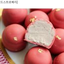 글라소디 이미지