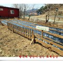 이현농장 이미지