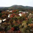 국립수목원 이미지