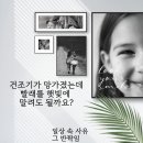 빨래민족 이미지