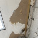 한샘리하우스 수하우징 대리점 이미지