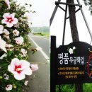 나라꽃 무궁화 명품길 이미지