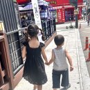 파충류카페 비비안 | 강릉 중앙시장 근처 파충류카페 강릉점 아이와 이색체험 ft. 고양이