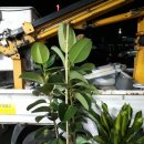 광명당약국 이미지