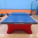 SM탁구장