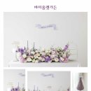 데이바이데이 이미지