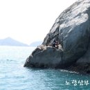 대삼부도