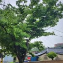 주식회사 씨원 이미지