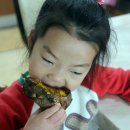 안면도농산 이미지