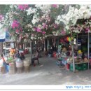 화이트샌드 이미지