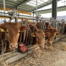 제천농장 이미지