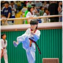 참태권도체육관 이미지