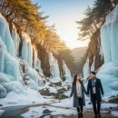 주왕산 한우농장 | 12월에도 떠날 수 있다! 경상북도 겨울여행 명소 TOP 5 코스 안내