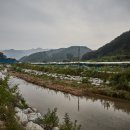 버섯구지체험마을 이미지